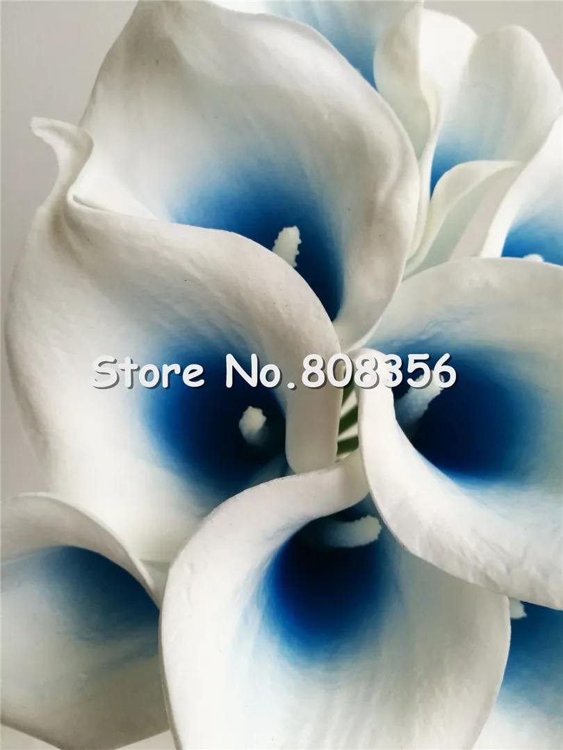 Latex Callas Flower 100st 35 cm Elegant Silicon Artificial Egyptian Calla Lily Alocasia Plumbea Flower for Wedding Bridal Centerpieces Decorations