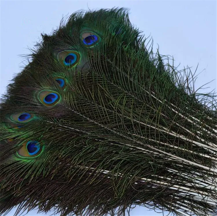 エレガントな装飾的な素材装飾的な羽美しい羽約25から30 cmの目新しいアイテム送料無料4148