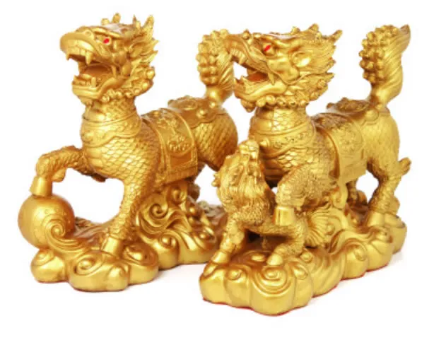 Sortudo abençoado consecrating fengshui qi lin decoração decoração escultura qilin statue abençoado feng shui kylin um par ouro cor r0101002