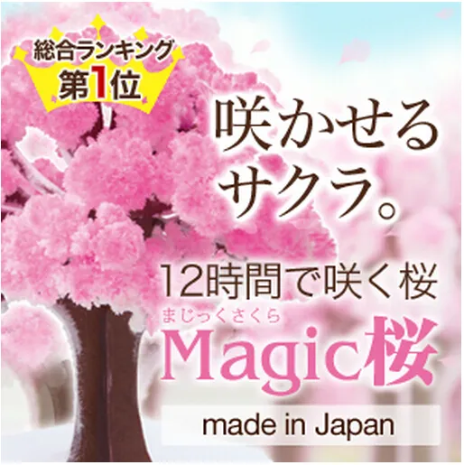 iWish 2017 Visual 14x11cm Pink Big Grow Paper Magic Sakura Albero giapponese Alberi che crescono magicamente Kit Desktop Cherry Blossom Christmas 