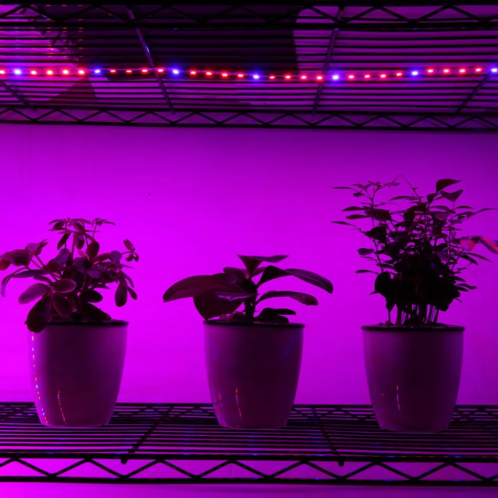 5050 SMD Grow LED Гибкая полоса Лента Свет 4: 1 5: 1 Аквариум Теплица Гидропонное Растениеводство Лампа 60led / м