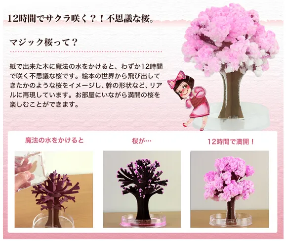 iWish 14x11cm Visual 2017 Pink Big Grow Magic Japanese Sakura Paper Tree Kit di alberi che crescono magicamente Desktop Cherry Blossom Christmas 