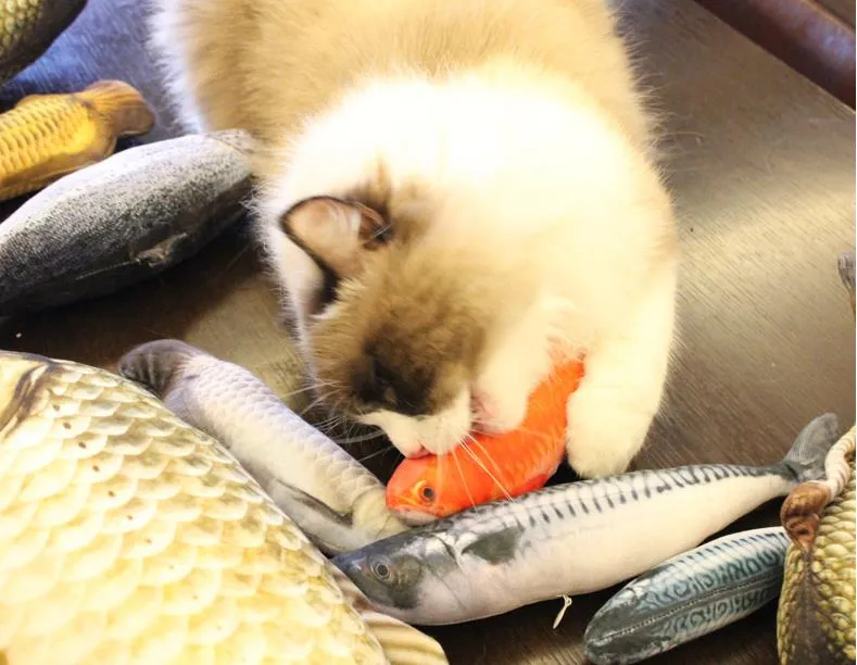 猫シミュレーション魚ペット子猫クッショングラス咬合咀嚼面白いスクラッチピロー20cmペットのパッド入りのおもちゃ