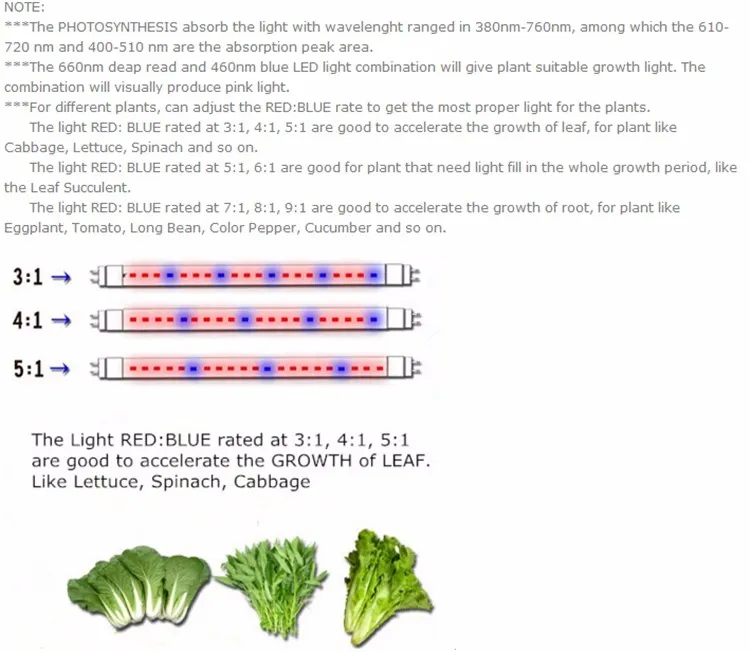 5050 60LED / M Plant Groeiende Strip Licht LED Greenhouse Light voor Indoor Gebruik Red Blue Strip