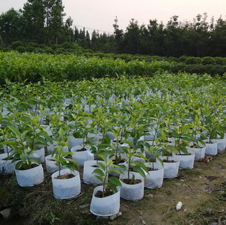 植え付けバッグ丸い布の鍋植物袋の根の容器を育てる袋曝気ポット容器新しい泥炭鍋通気性袋の植物