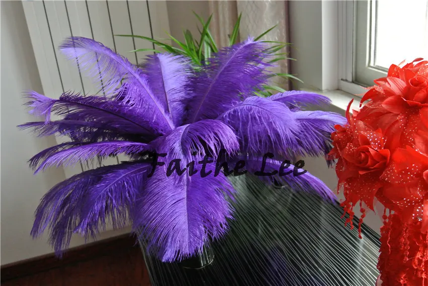 50Pcs Natural Ostrich Feathers DIY Craft Plume Feather Home Wedding  Centerpieces Party Decoration Feather (Hot Pink,15-20cm/6-8inch)
