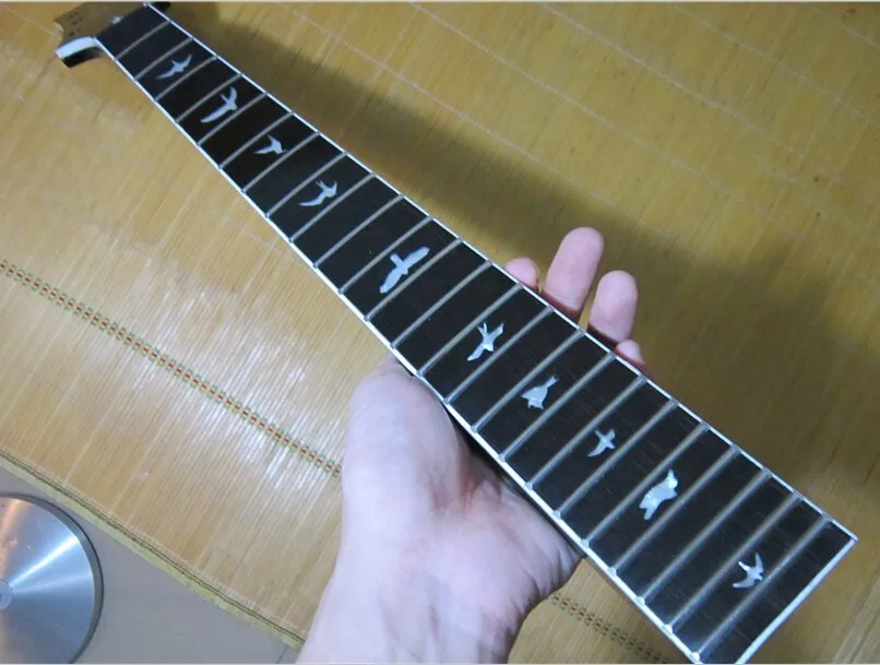 Guitar with shop birds on frets