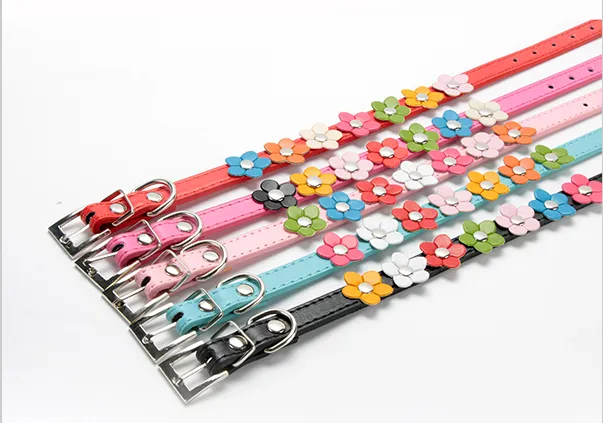 Moda i 4 Taglie Pelle Pelle Pelle Pet Cane Collar Collana Collana con scollo a Cat Collana con G1012 con borgo