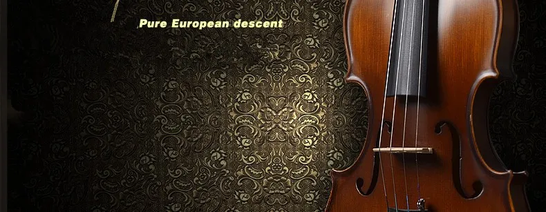 عالية الجودة الآلات الموسيقية الفرس الكمان 3/4 الكمان الحرفية violino مع قضية الصنوبر