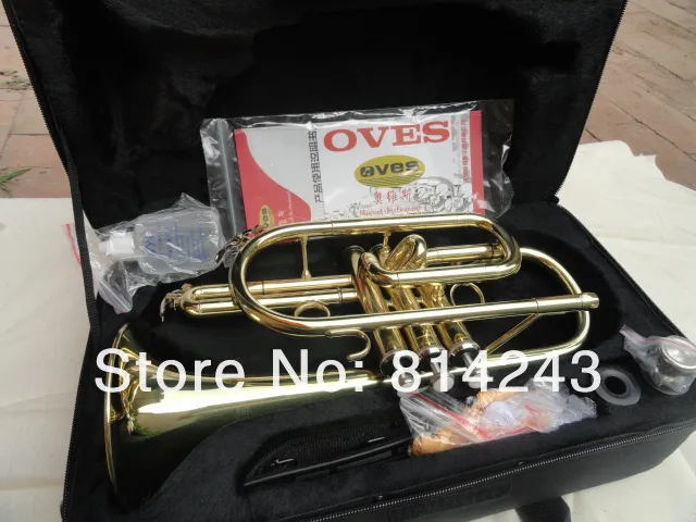 Oves varumärkeskvalitet Bra tonstudenter BB Cornet Gold Lacquer Trumpet Gul mässing Material Trumpet Musikinstrument med fall