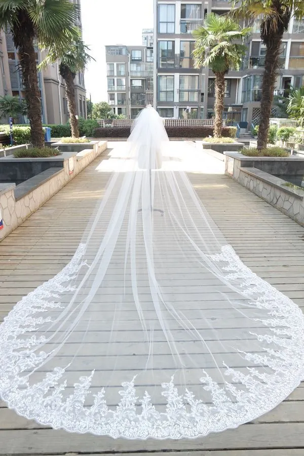 Affordable Lace Applique Edge Cathedral Length Wedding Veil