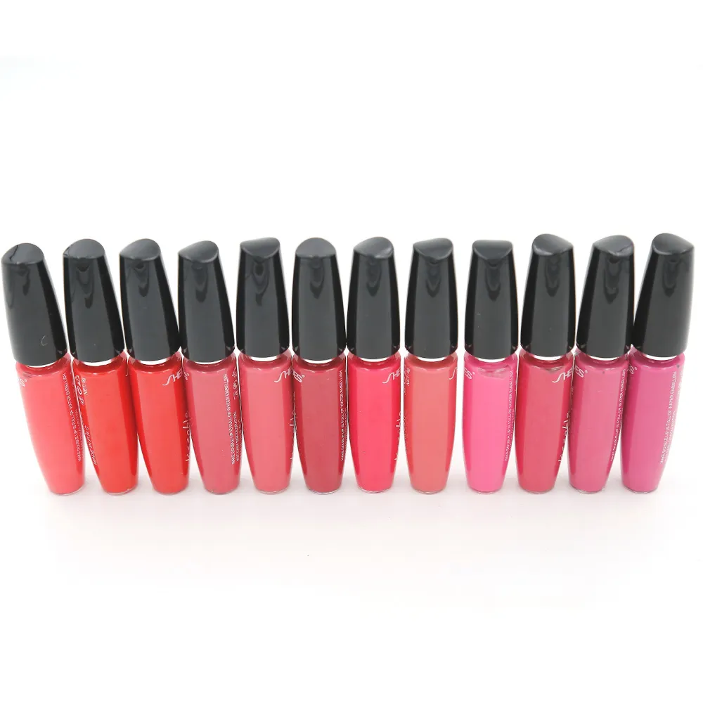 Lip Gloss Matte Lip Lipgloss 24 pics / i Professional Lipgloss Makeup Lip Gloss 8324