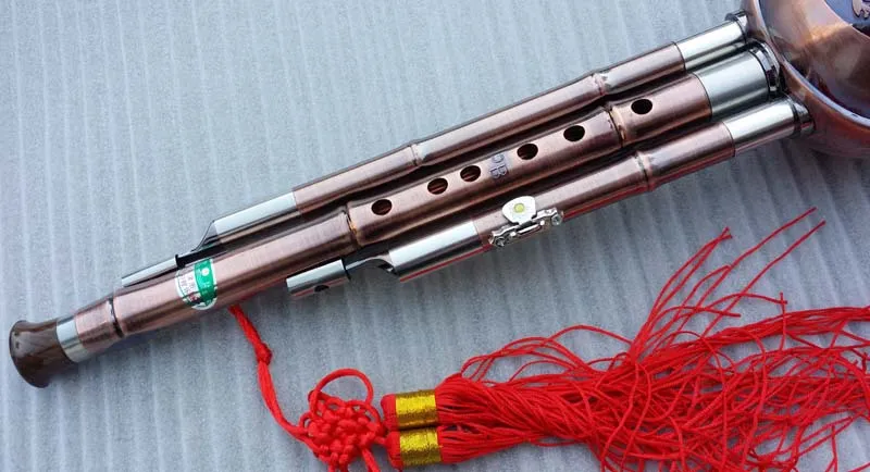 Professionell Yunzhi Chinese Hulusi Gourd Cucurbit Flute BB vindinstrument med Case1021564