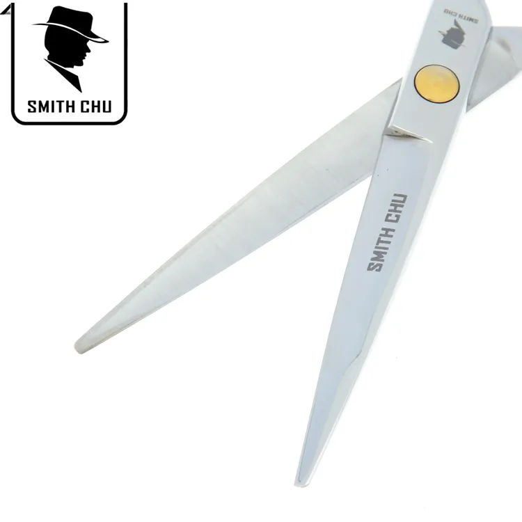 6.0inch 2017 Nowy Smith Chu Hot Sprzedaży Profesjonalne Nożyce Fryzjerskie Zestaw Cięcia Rozcieńczym Hair Salon Kit Barber Razor, LZS0074