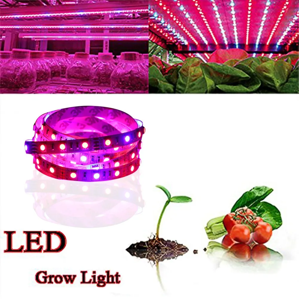 Full Spectrum SMD5050 Led Grow Strip Light NON-waterproof Led Grow Light for Hydroponic Plant Growing Lamp Grow box Red Blue 4:1