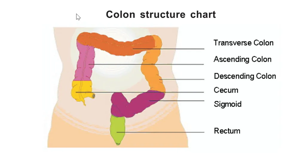 جهاز Rive Colon Device Colon Device 2L المحمولة كولون كولون للعلاج المائي جهاز التحكم عن بُعد التثبيت المطبق