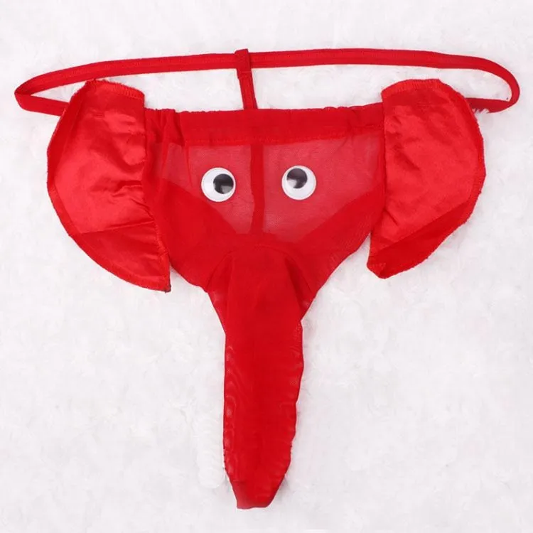 Seks Mikro Thongs Erkek Seksi Iç Çamaşırı Lingerie Eşcinseller Külot Külot Dantel Iç Çamaşırı Elephant Iç Çamaşırı Erkek