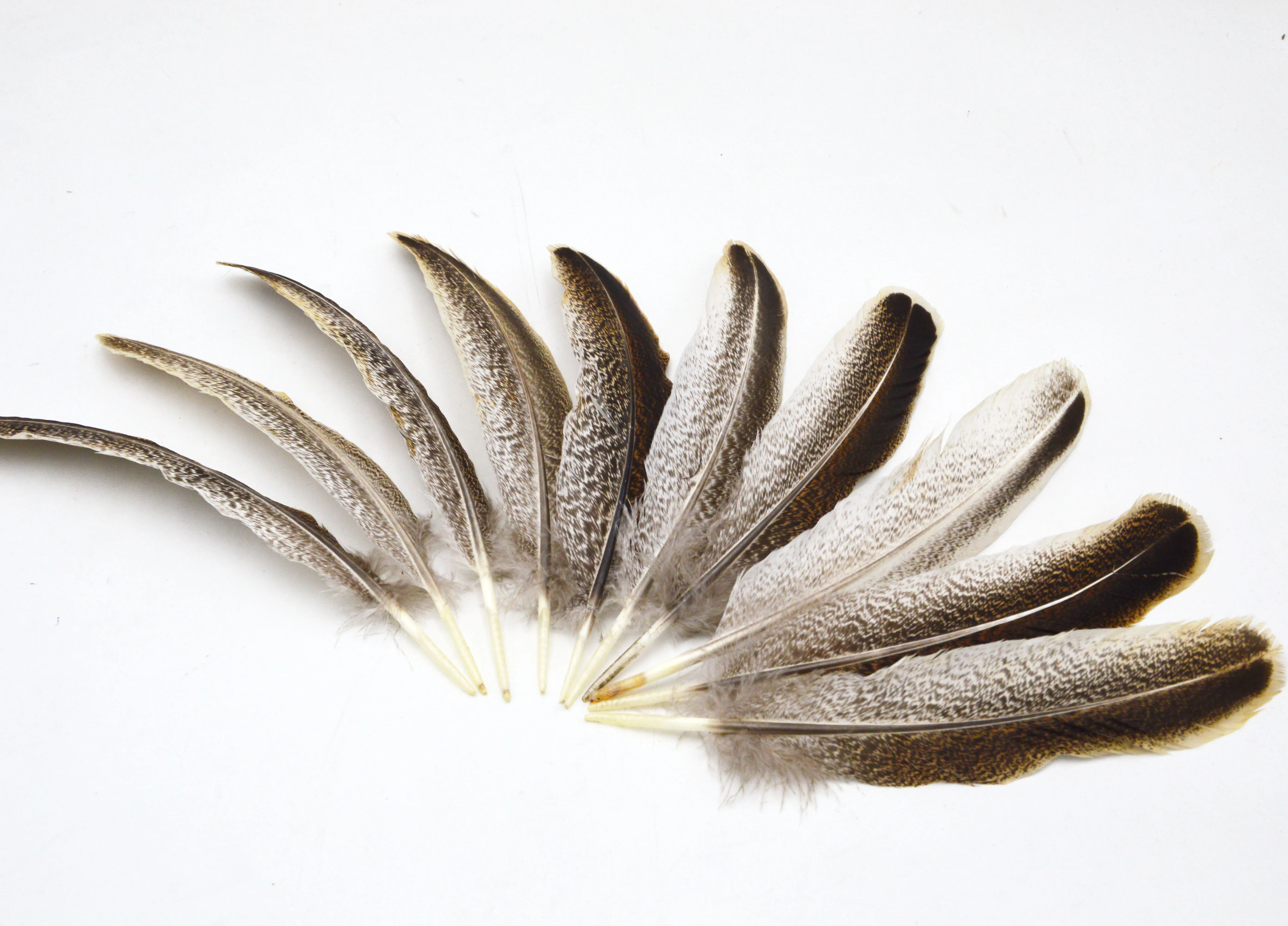 60 Plumes De Croupe De Dinde Sauvage 5-8 Cm - Fly Tying & Artisanat