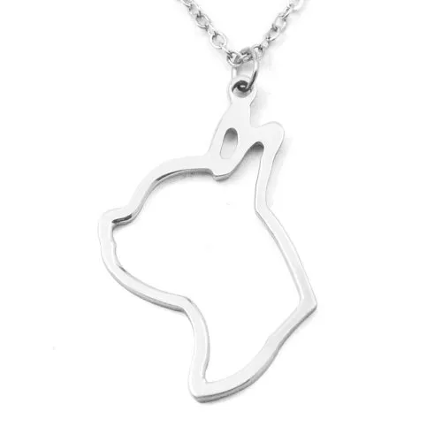 mignon Boston terrier collier bull terrier pendant collier animal creux pup puppy chien de tête de tête colliers pour animaux de compagnie cadeaux