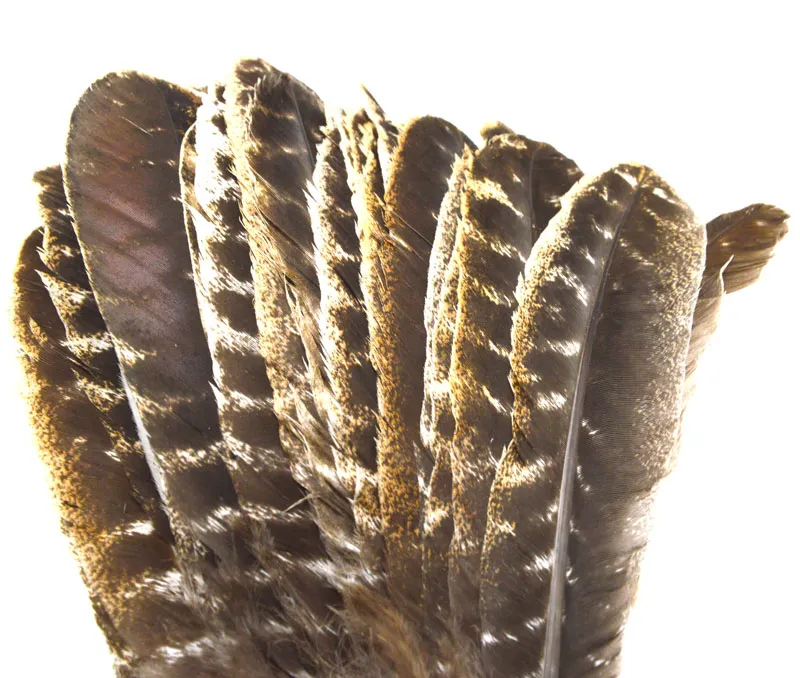 inteiras lindas e preciosas penas de cauda de peru selvagem 812 polegadas 2030 cm Muitos tamanhos para você escolher 6210557