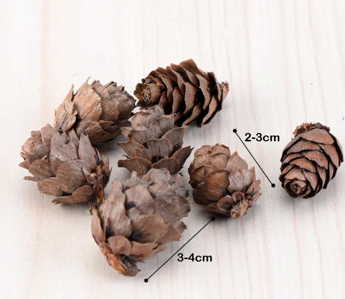 Natural Hemlock cones Tiny Pine Cones Forest Wood Garden Rustic Craft Christmas Wedding Decoration DIY Decor Miniatures