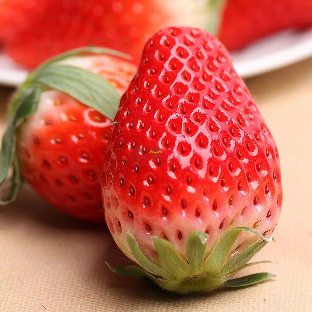 Non Hybrid 100 Everbearing Strawberry Seeds Fruit Juicy Drought