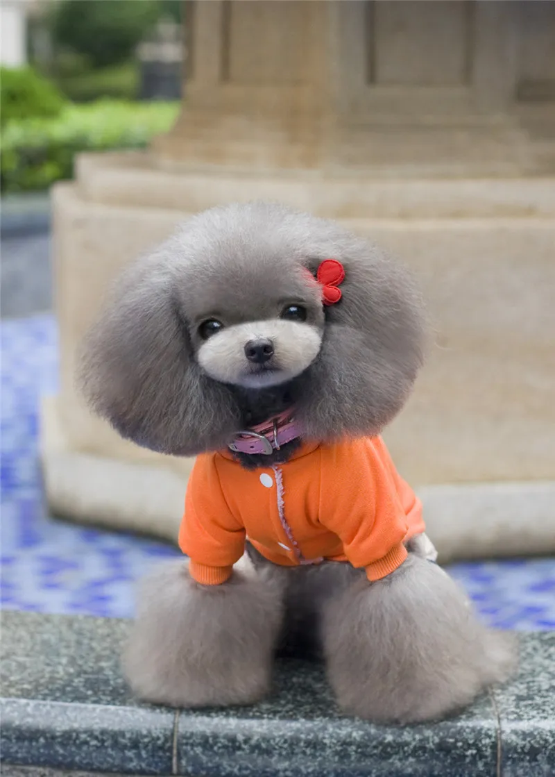 Casaco de algodão de cachorro A10 para 4 pernas -Nova York 58 Design Pet Clothing Pet Dog Dog Winter Roupos A quente