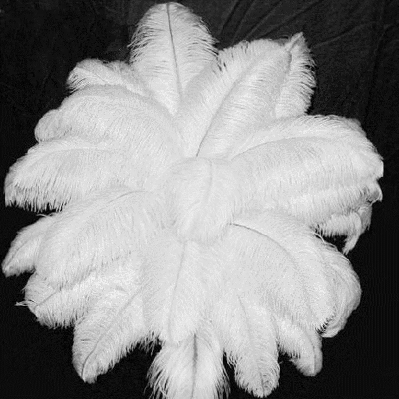 6-26 inch Ostrich Feather White Plume Wedding Party table Centerpiece Desktop Decoration Plush Christmas Decor315m