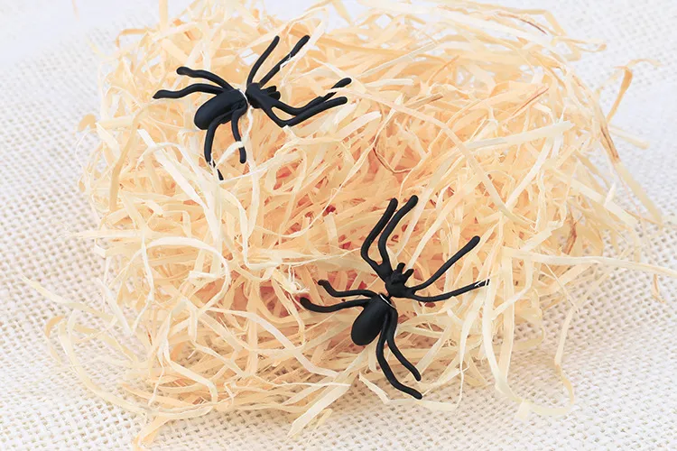 2017 Punk Black Spider Charme Ear Stud mulheres Halloween Party Brincos de Presente À Noite Para senhoras Moda Jóias