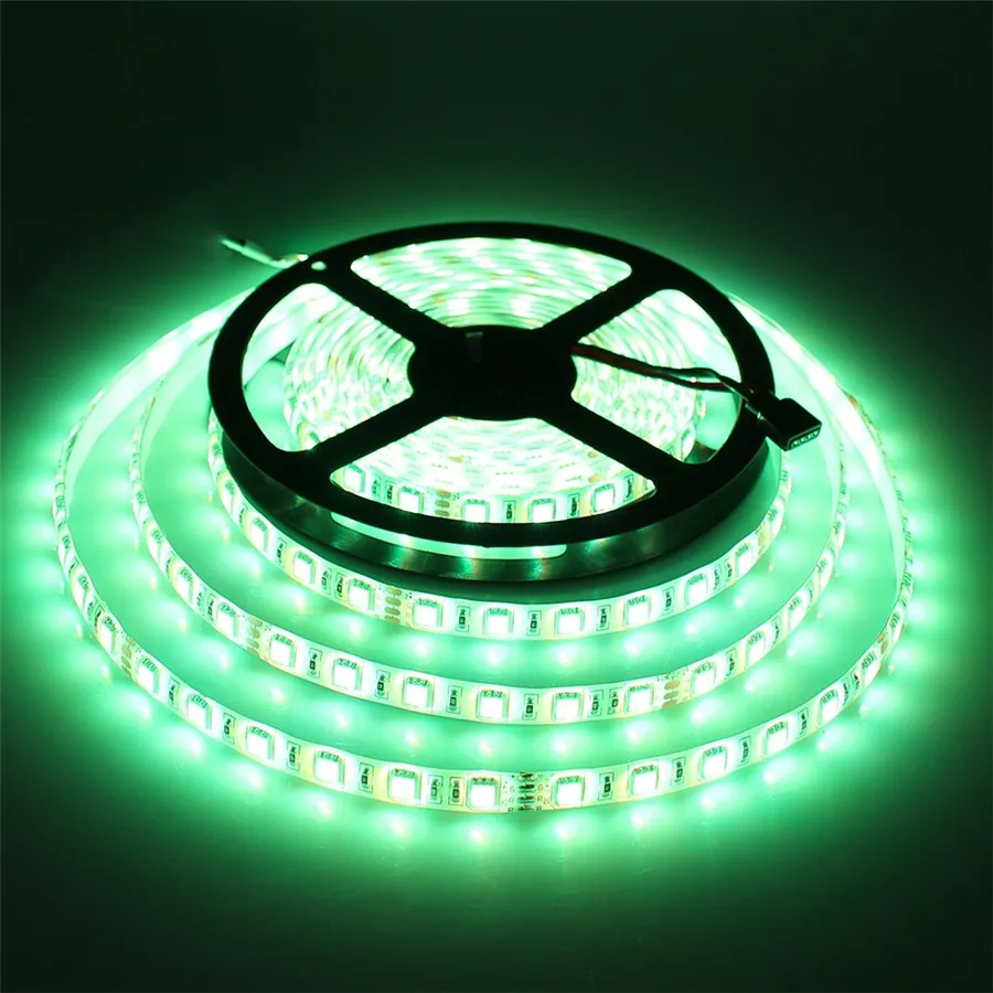 5M 24V IP65 Waterproof Flexible LED Strip 5050 300led Lighting Led Tape Ribbon Outdoor Decoration Led Ribbon WarmWhite White RGB red biue