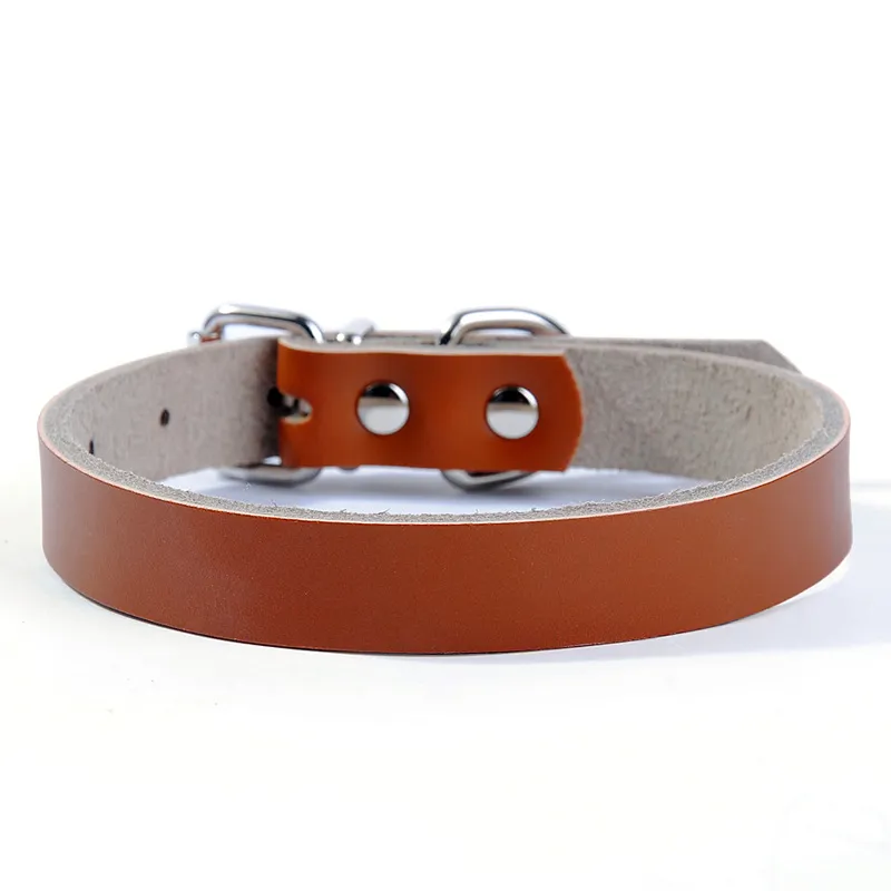 Hot Sale Dog Tillbehör Real Cowhide Leather Dog Collar 2 Färger 4 Storlekar Partihandel Gratis frakt