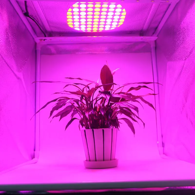 45W rouge bleu blanc Orange LED plante poussent la lumière 225 SMD 2835 LED hydroponique intérieure fleur légume ultra-mince panneau de lampe de croissance des plantes