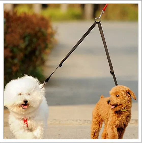 Two leashes in sales one