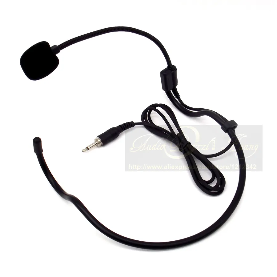 Earhook microphone online