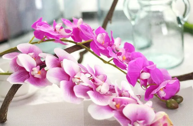 Echte touch orchideeën 72cm kunstbloemen simulatie prinses vlinder orchidee phalaenopsis voor bruiloft bloem 7 kleuren rubberen coating PF13