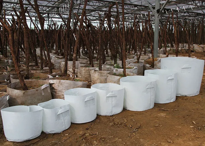 Branco não tecido tecido reutilizável suave altamente respirável crescer potes plantador saco com punhos preço grande flor 10 tamanho opção