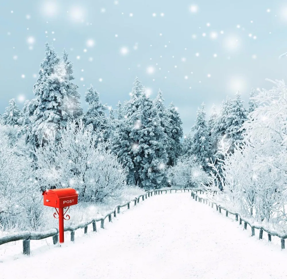 雪に覆われた田舎道写真の写真背景ビニール赤郵便箱冬の風光明媚な松の木の森のスノーフレーク写真スタジオの背景