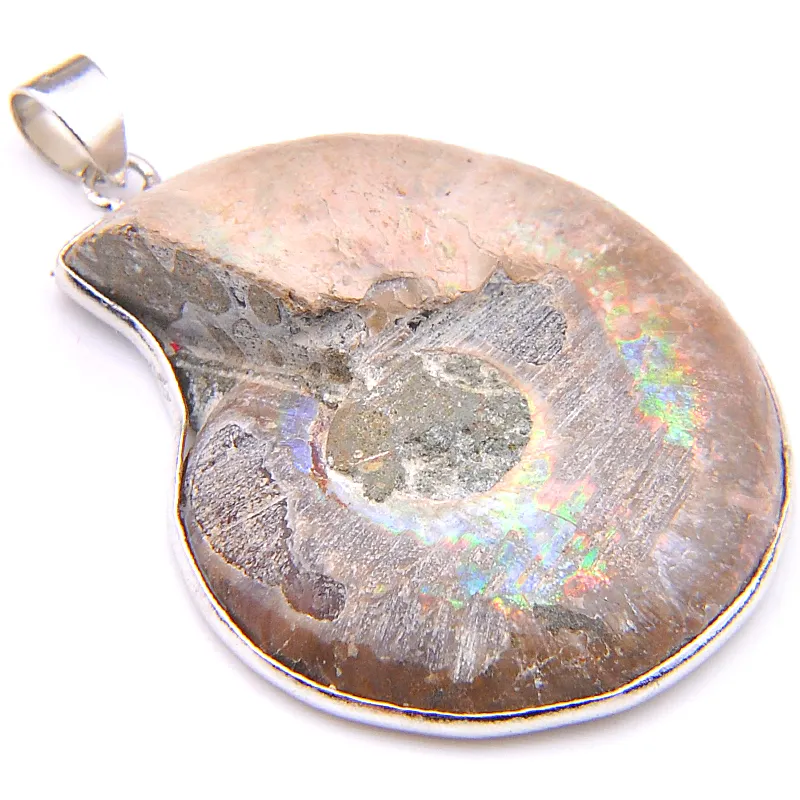 10 pezzi / lotto LuckyShine Eccellente fuoco Ammonite naturale Gemme fossili Argento sterling 925 Stile vintage Pendenti Collane Gioielli regalo amico