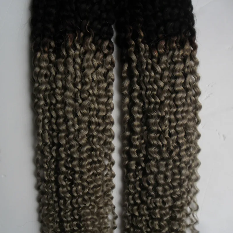 Braziliaanse kinky krullend haar zilver grijs ombre menselijk haar 2 stks twee toon ombre braziliaanse grijze weven afro kinky krullend maagdelijk haar