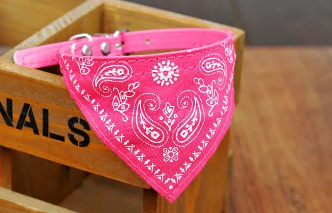 50st 4 Färger Hundkragar Justerbar Pet Dog Cat Bandana Scarf Collar Neckerchief Brand New Mix Colors