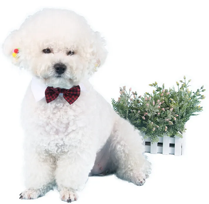 المبيعات الساخنة مستلزمات الحيوانات الأليفة الألوان الحمراء القطط الكلب اكسسوارات الزفاف الكلاب ربطة طوق عطلة الديكور عيد الميلاد الاستمالة G471