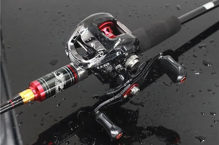 6 1BB LG200 Baitcasting Reels L R كان 6 31 بكرات صيد الفرامل المغناطيسية جودة عالية DDL268S