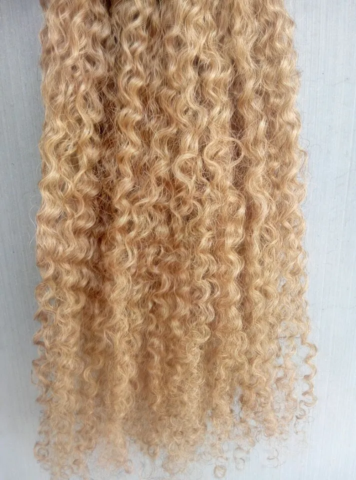 Virgem Brasileira Remy Kinky Curly Cabelo Extensões Humanas Loira 270 # Cor 100G Um pacote Weaves