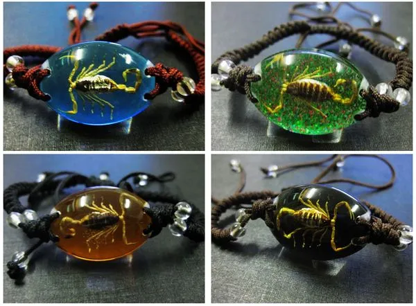 SUR Entier Réel Scorpion Roi Lucite Bracelet Bracelet Insecte Bijoux Qualité Magique Hommes JewelryGIFT Mixte SHIPP1881
