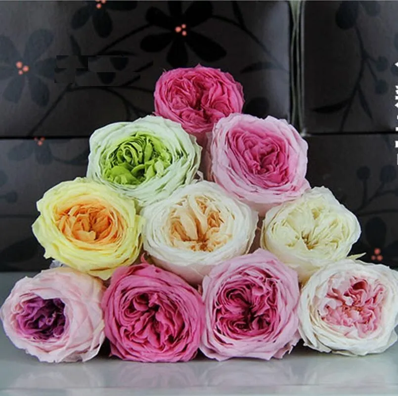 8 pièces 4-5cm fleur préservée Austin Rose tête de bourgeon pour la fête de mariage vacances anniversaire jour de Velentine cadeau faveur
