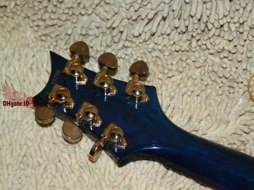 Blue Flame top REED Electric Guitar New Arrival Wholesale from China OEM guitars