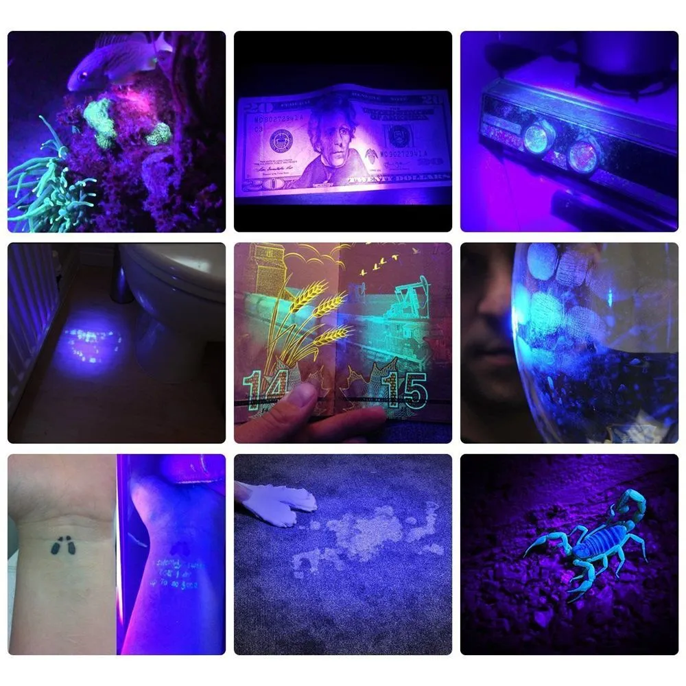 AloneFire 9 LED UV Light 395-400nm Détecteur de fuite UV pour lampe de poche UV