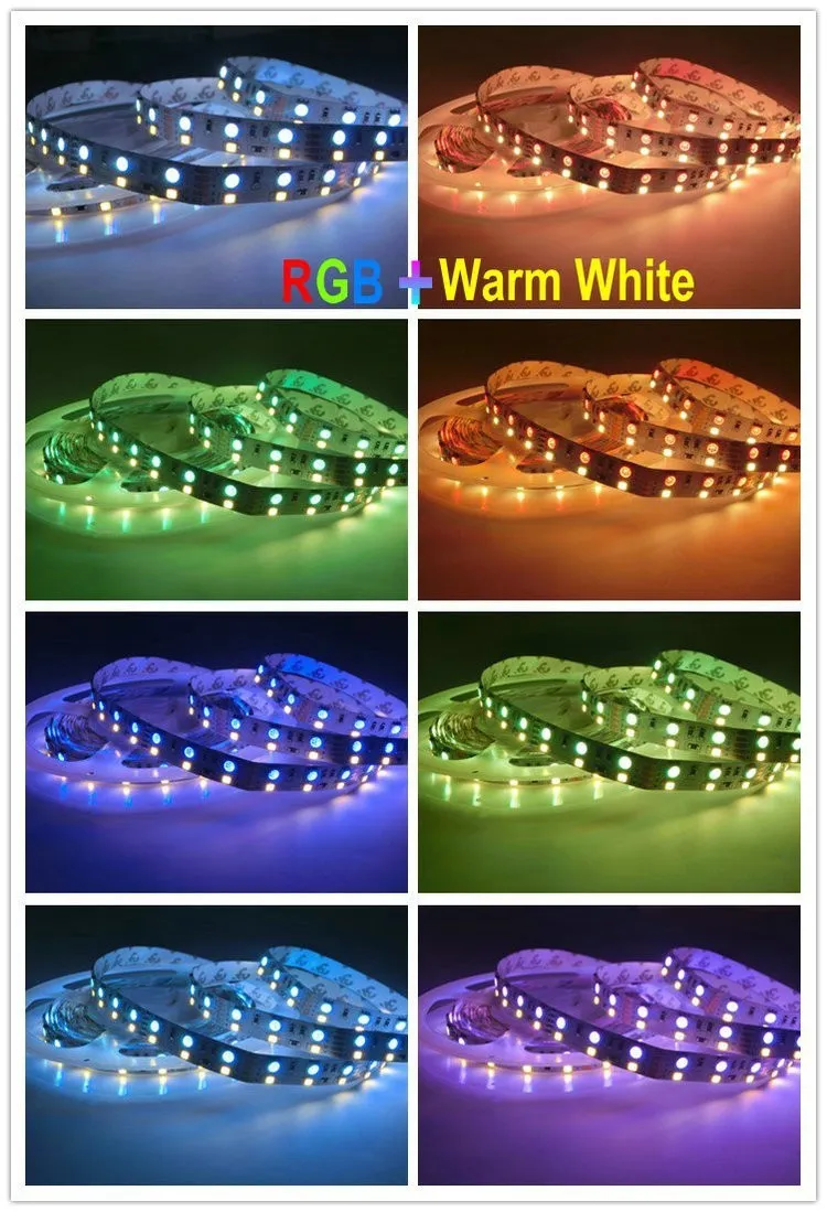 LED Strip Light 5M SMD 5050 RGB + 2835 Warm White / White DC12V