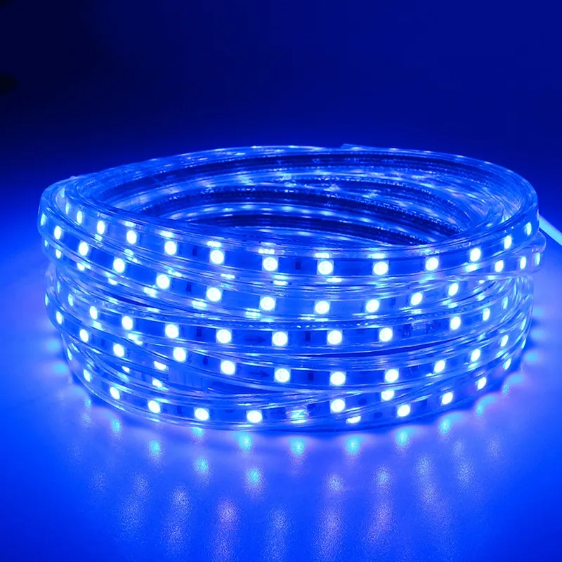 AC220V IP65 Waterdichte SMD 5050 60LEDS / M LED-tape Flexibele LED Strip Lichtlamp Tape + EU-stekker voor Outdoor Garden Lighting