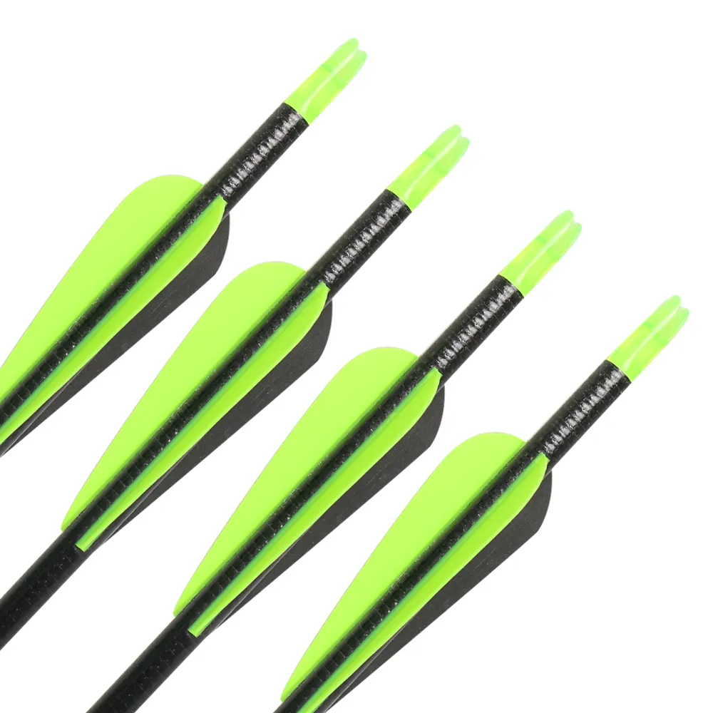 32 inch Fiberglass Target Practice Arrows with Replacement Screw-In Target Practice Point for Recurve and Compound